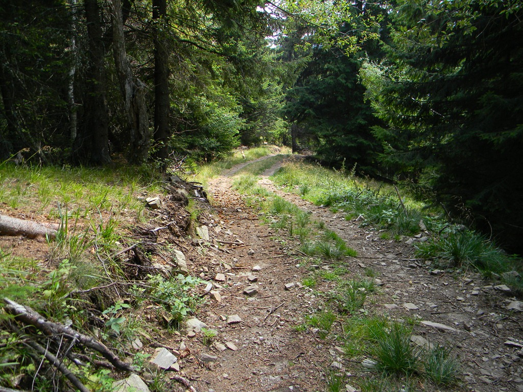 [DSCN45173.jpg]