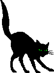gato-negro-halloween-gifs-03
