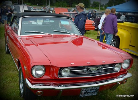 Another nice Mustang!