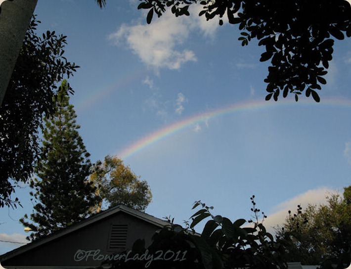 09-28-rainbow10