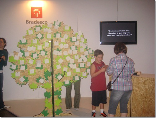 IMG_6539 IMG_6539