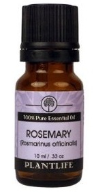 [Rosemary%2520Oil%255B4%255D.jpg]