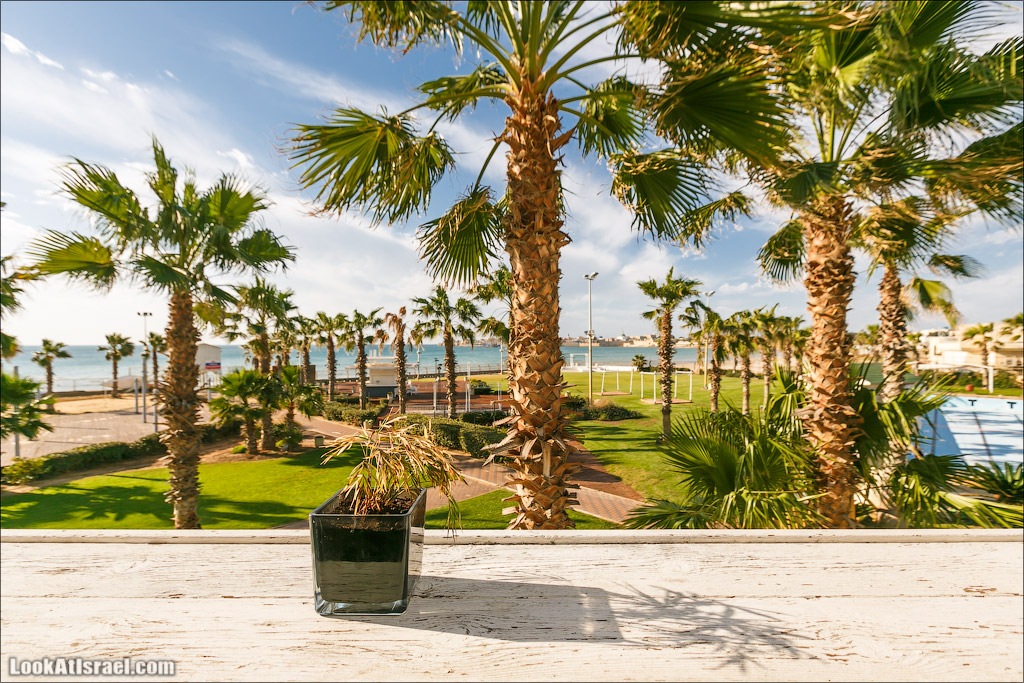 LookAtIsrael.com - Фото путешествия по Израилю | Отель Римоним Палм Бич в Како | Acre, Rimonim Palm Beach Hotel