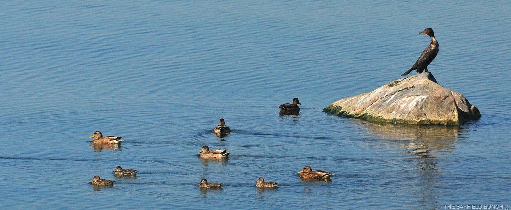 [DSC_0012%255B4%255D.jpg]