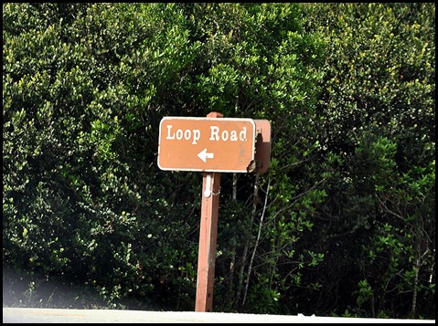 16 - Loop Road Sign