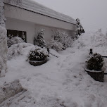 lots of snow in Seefeld, Austria 