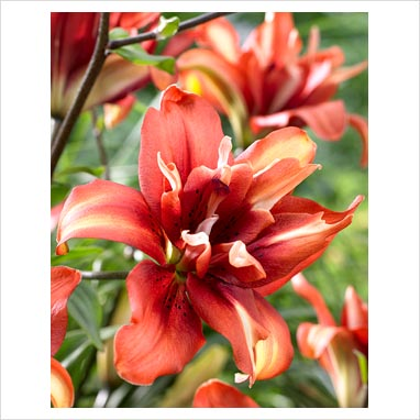 [image%255B35%255D.png]