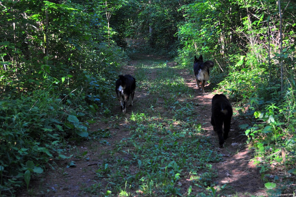 [DSC_0017-002%255B3%255D.jpg]