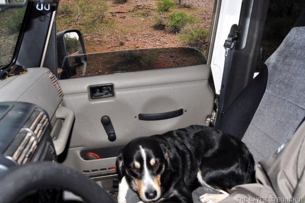 [DSC_0018%255B4%255D.jpg]