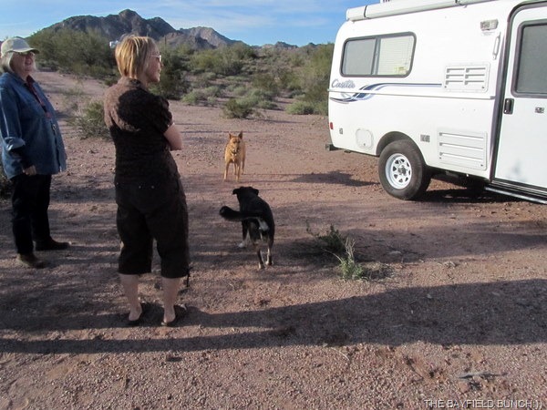 [IMG_1397%255B4%255D.jpg]