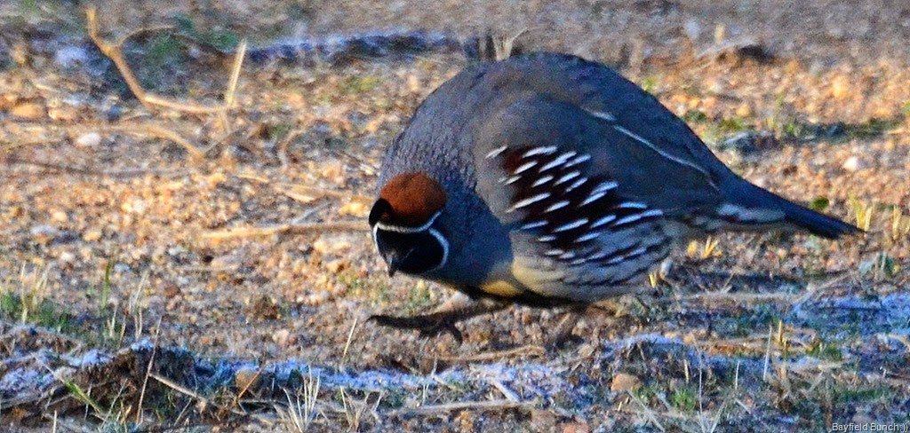 [DSC_0001-001%255B3%255D.jpg]