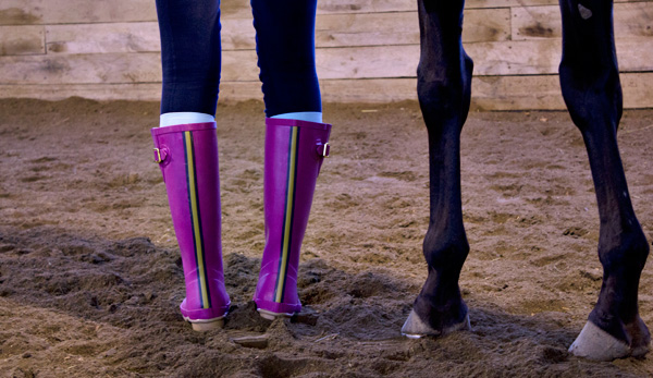Joules Polo & Wellies