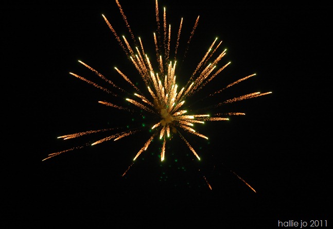 Fireworks 071