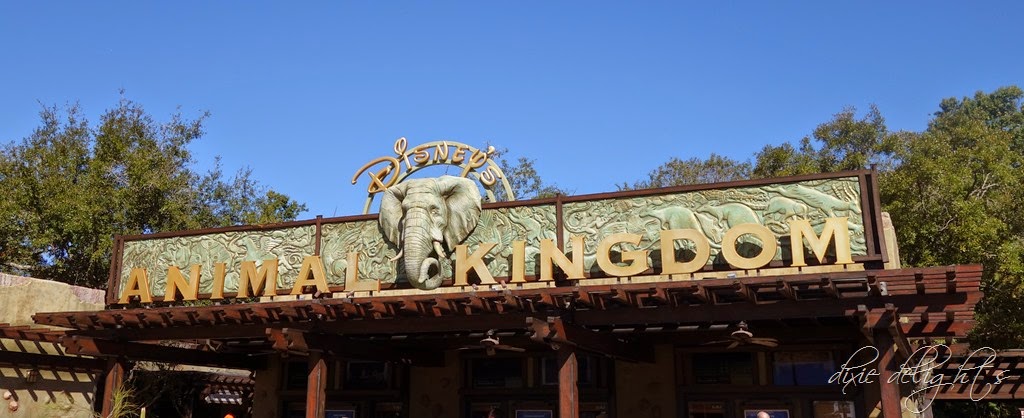 [DSC00477%255B5%255D.jpg]