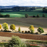 By Alessandra Tommei