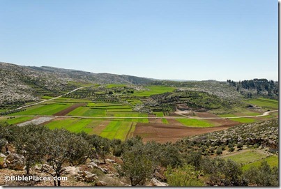 Judean hills near Guvrin Valley, tb030407741