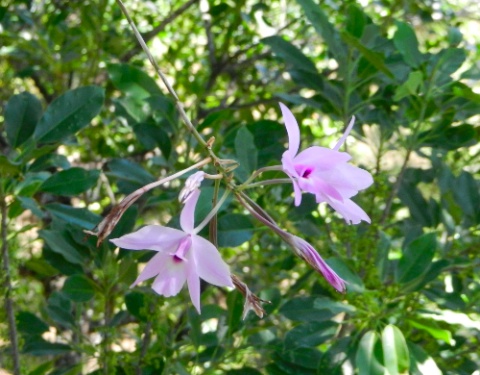 DSCN0113.jpg DSCN0113