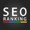 SEO Search Ranking