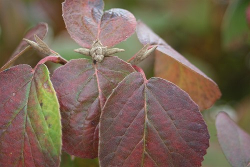 20101029 (2) (Large)