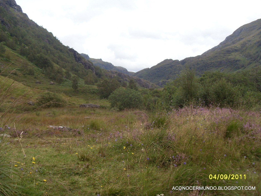 [Glen-Nevis-SDC139764.jpg]