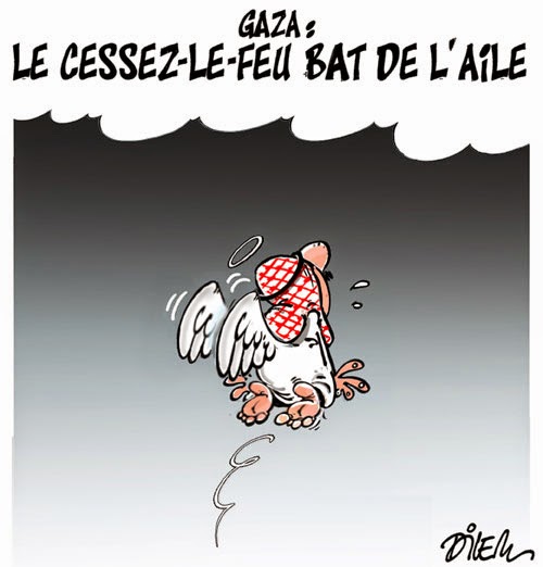 l'ail.jpg