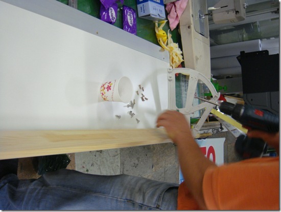 Gallery4118_5