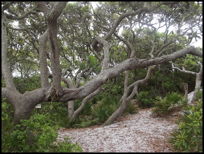 Dune hike & rain paddle 030