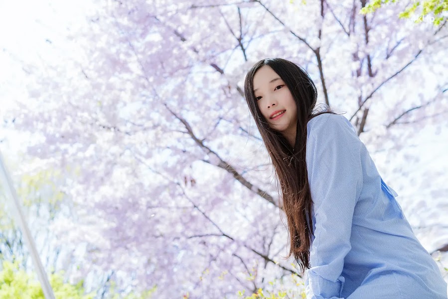 Bambi (밤비) Lacerta Photography