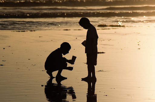 2950472249_f338c6af07_b