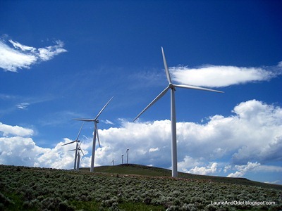 Wind Farm near La Grande