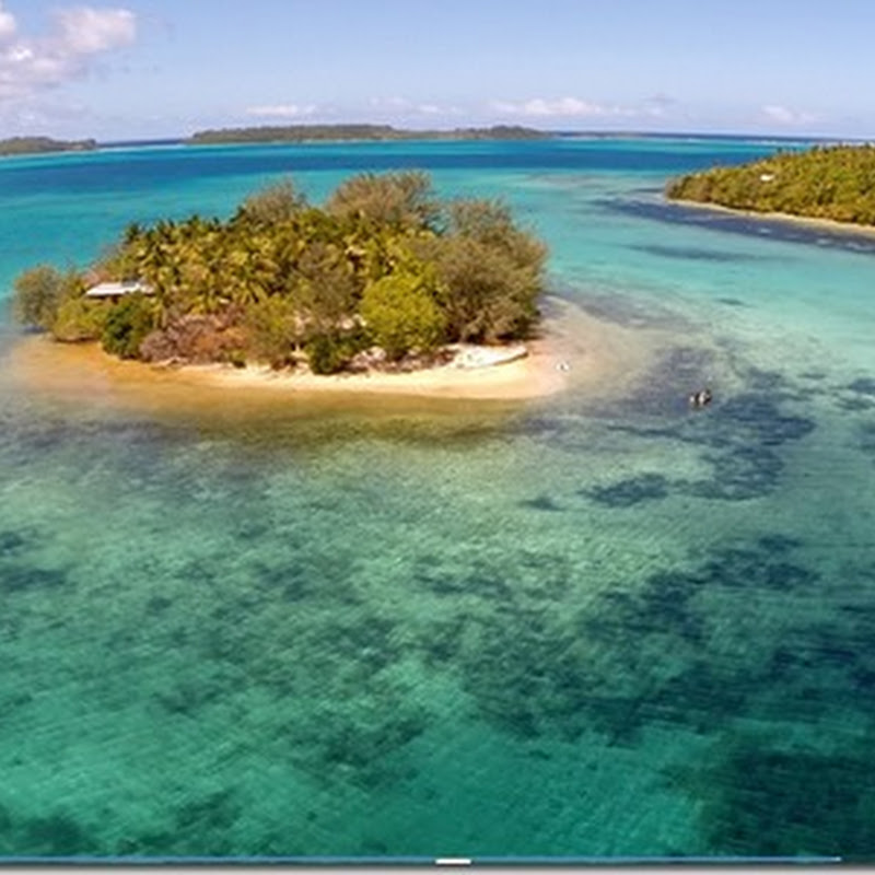 Logbook: Fetoko Island (Vava’u,Tonga)