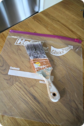 store wet paint brushes for later use