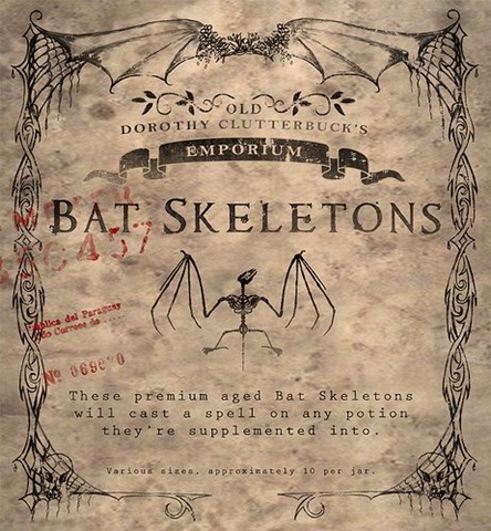 [Bat%2520Skeletons%255B3%255D.jpg]