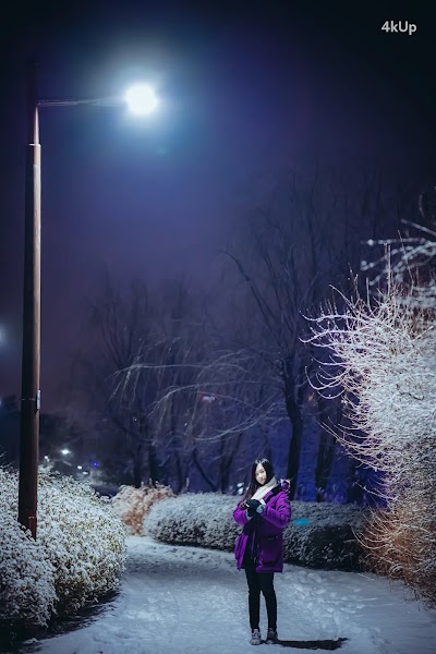 Bambi (밤비) Lacerta Photography