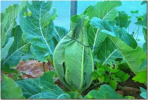 [clip_image01142.jpg]