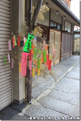 日本-渡月橋，旅遊期間剛好是七夕的季節，所以很多商家的門口都豎起了七彩繽紛的祈福紙條，對日本人來說這就是慶典，但對我們來說，一開始還真有點給它怪怪的，不太能接受。