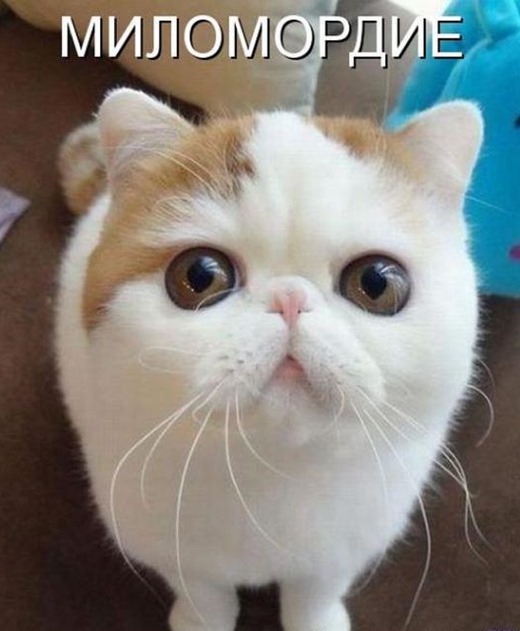 [94b4dd02df821eeda963fda16f5_prev%255B3%255D.jpg]