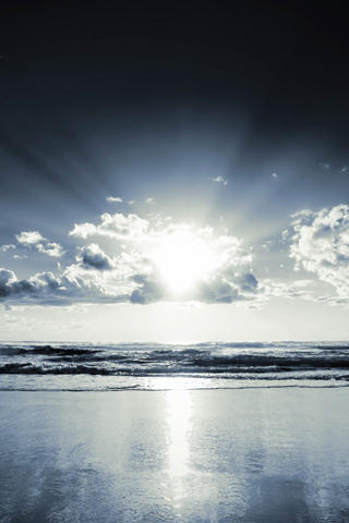 2355012040_696ef90382