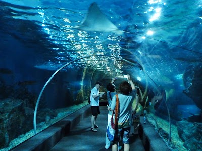 Ocean World - acvariul din Bangkok.