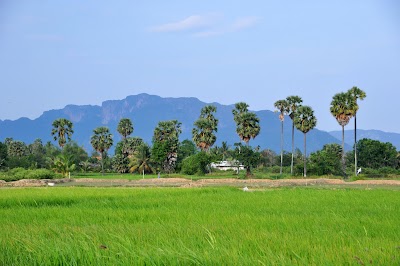DSC_0846.JPG