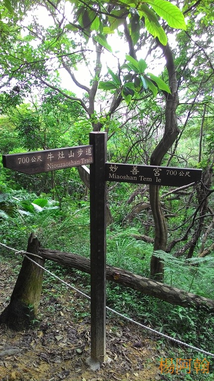 [1106-102---5.jpg]