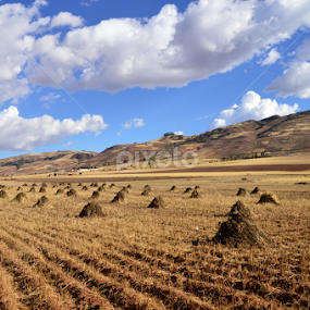 by Ben Liu - Landscapes Prairies, Meadows & Fields