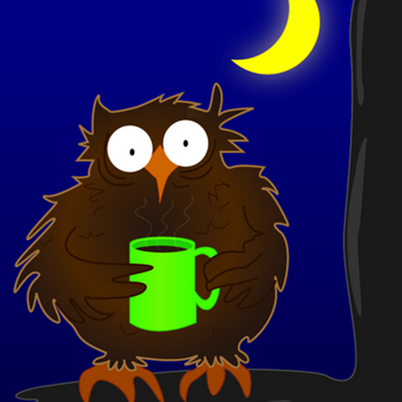Morning bird/Night owl