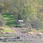 Loire - Vourdiat photo #773