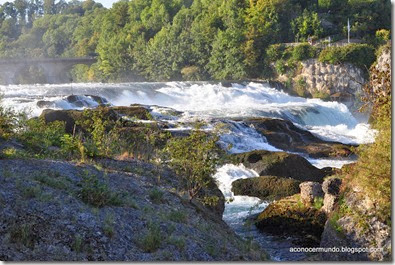 33-Cataratas del Rin (Schafhausen) - DSC_0367