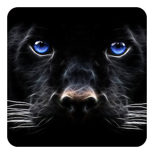 تنزيل الفهد الاسود للجدران لايف لنظام Android مجان ا Apk تنزيل