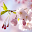 Japanese Flowers HD Wallpapers Download on Windows