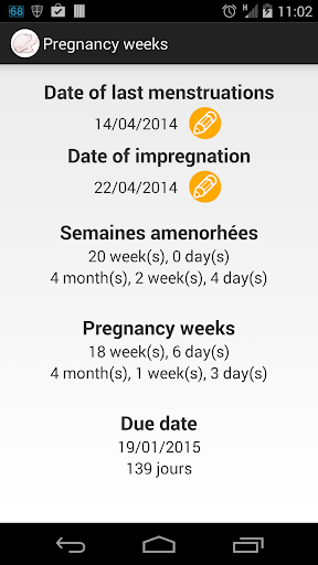 Pregnancy weeks