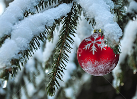by Irena Gedgaudiene - Public Holidays Christmas
