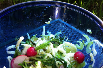 Fennel, Celery, and Wilted Radish Salad with Capers in a Citrus Vinaigrette